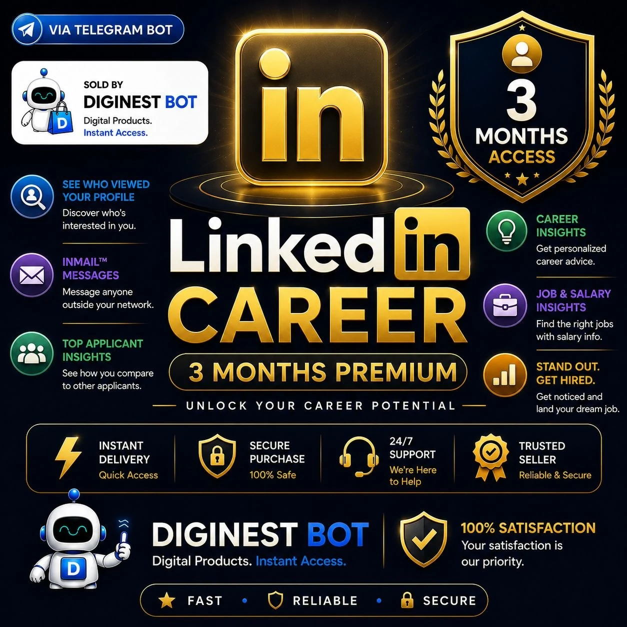 LINKEDIN 3 个月职业链接